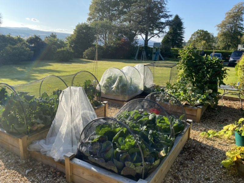 In the Garden With Kathy Edwards Blog 1